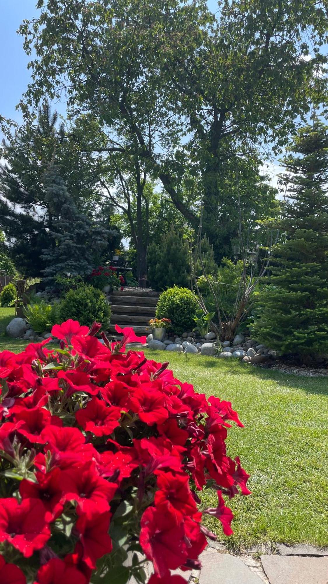 Wellness Penzion Vila Mery Poprad Eksteriør billede